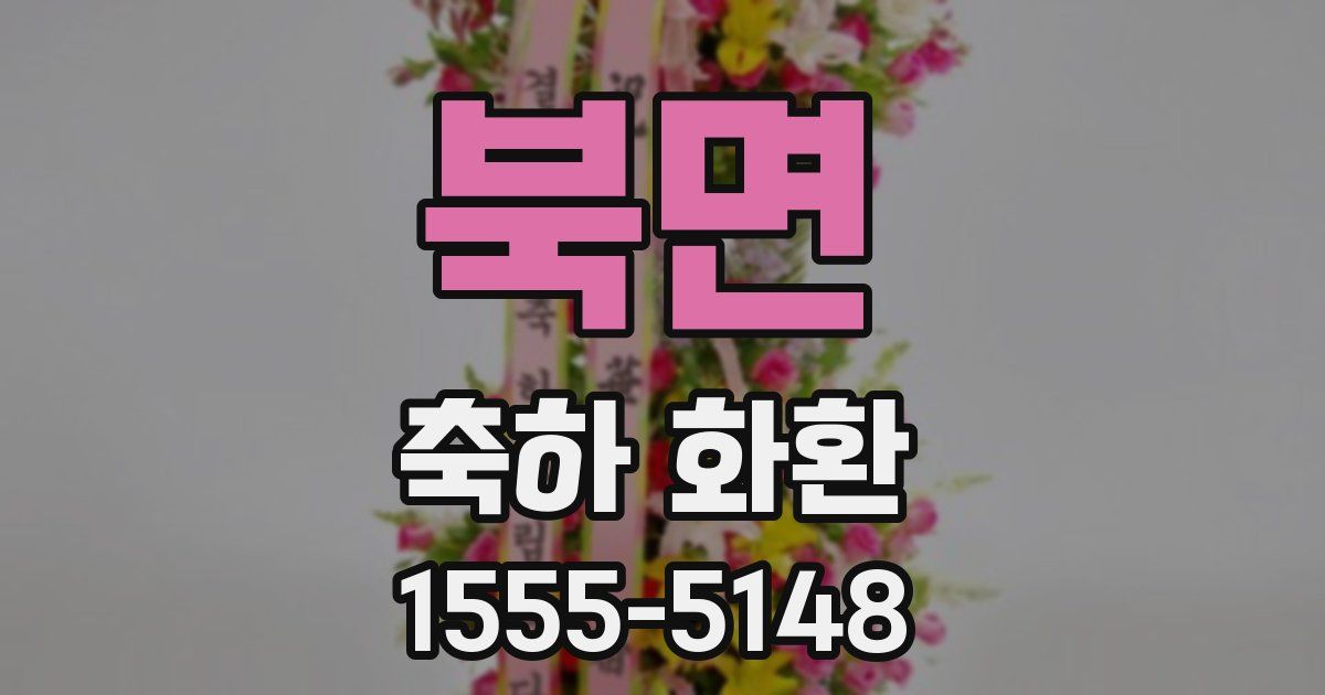 북면 축하 화환