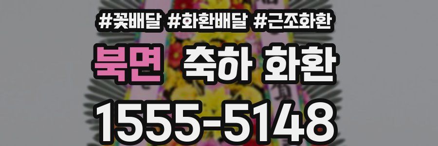북면 축하 화환