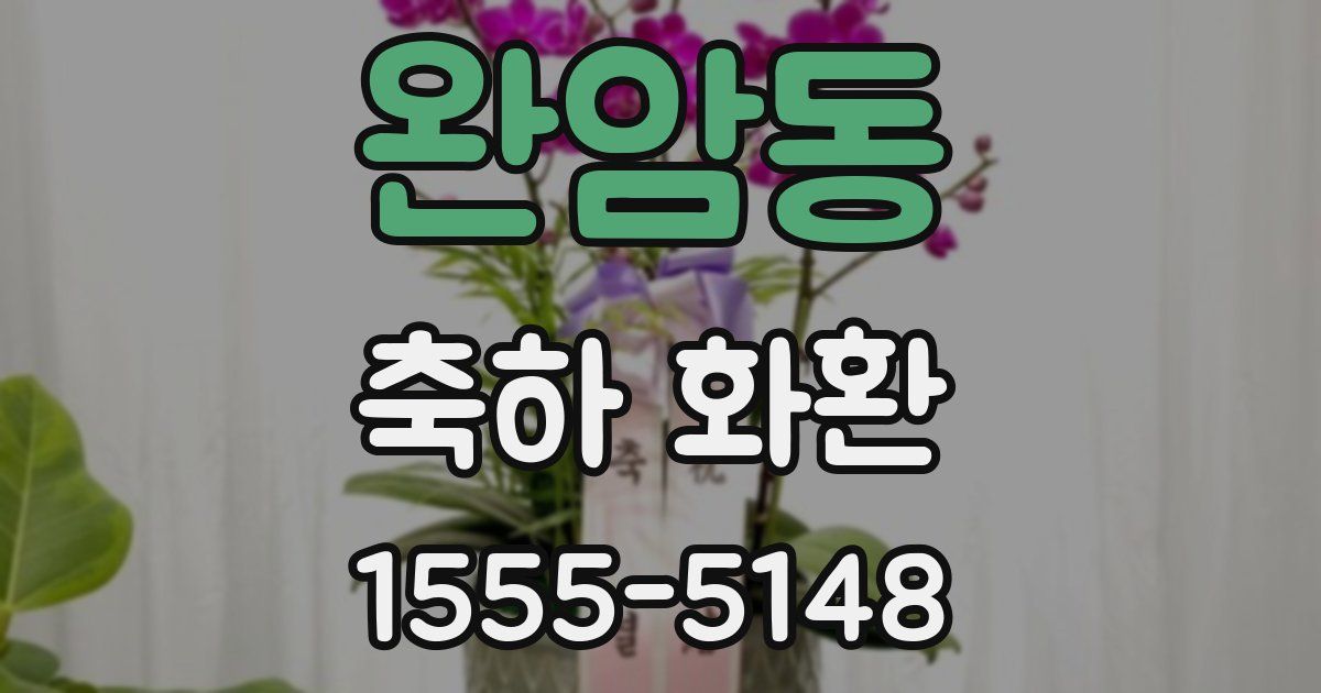 완암동 축하 화환