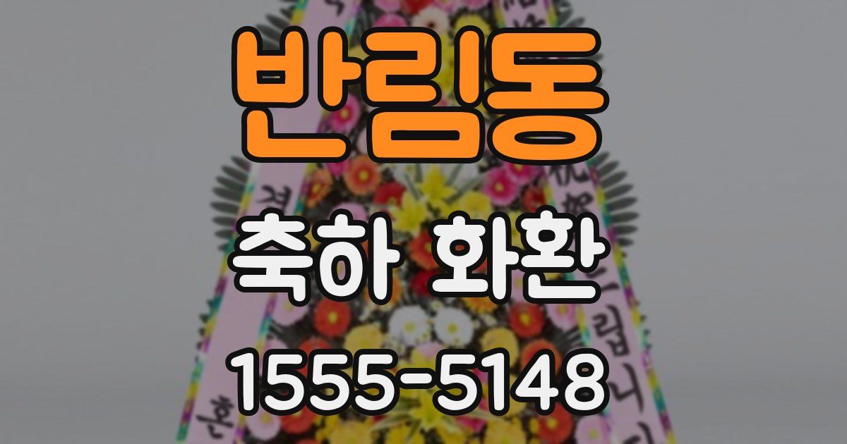 반림동 축하 화환