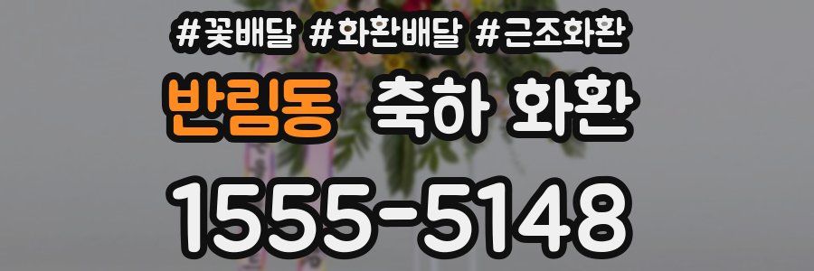 반림동 축하 화환