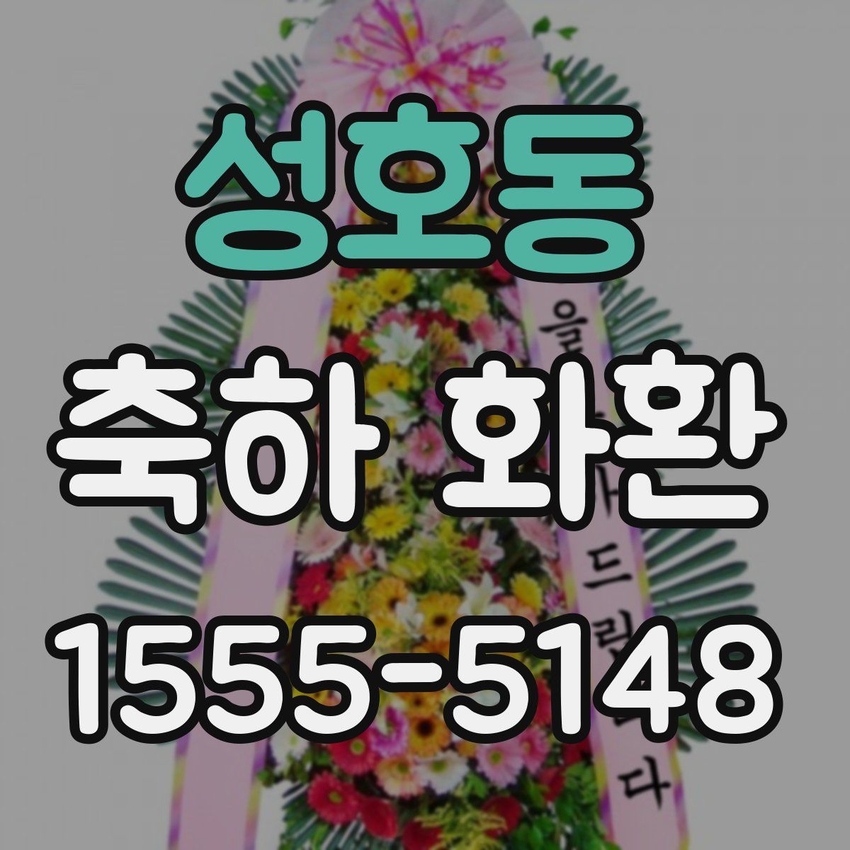 성호동 축하 화환