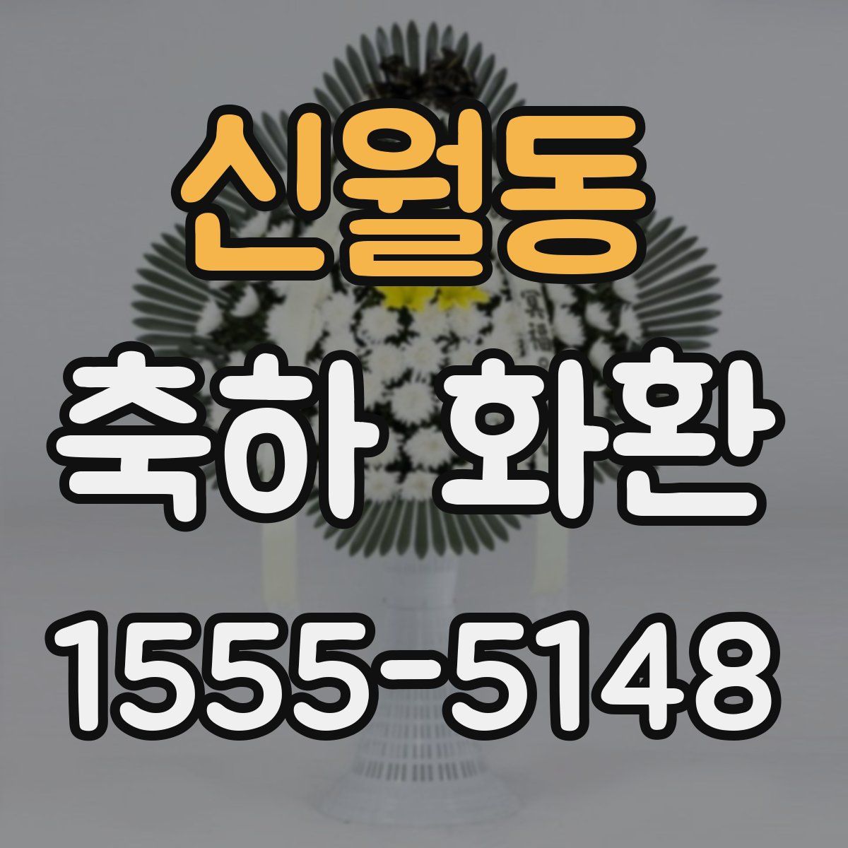 신월동 축하 화환