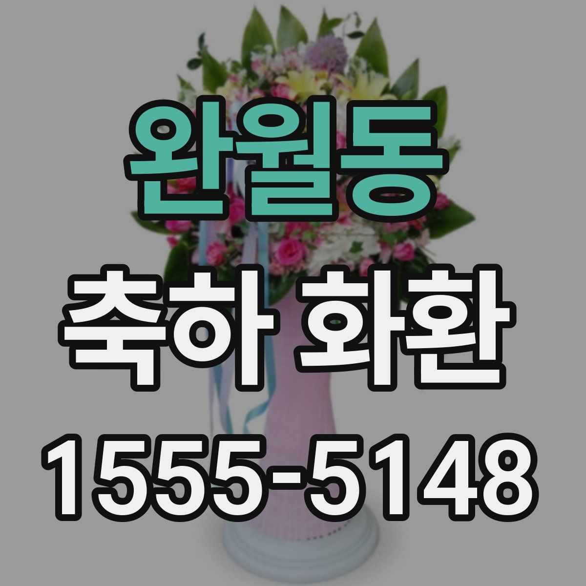 완월동 축하 화환