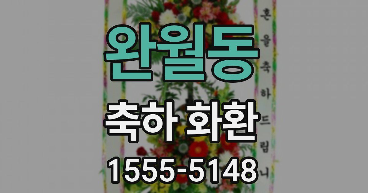 완월동 축하 화환