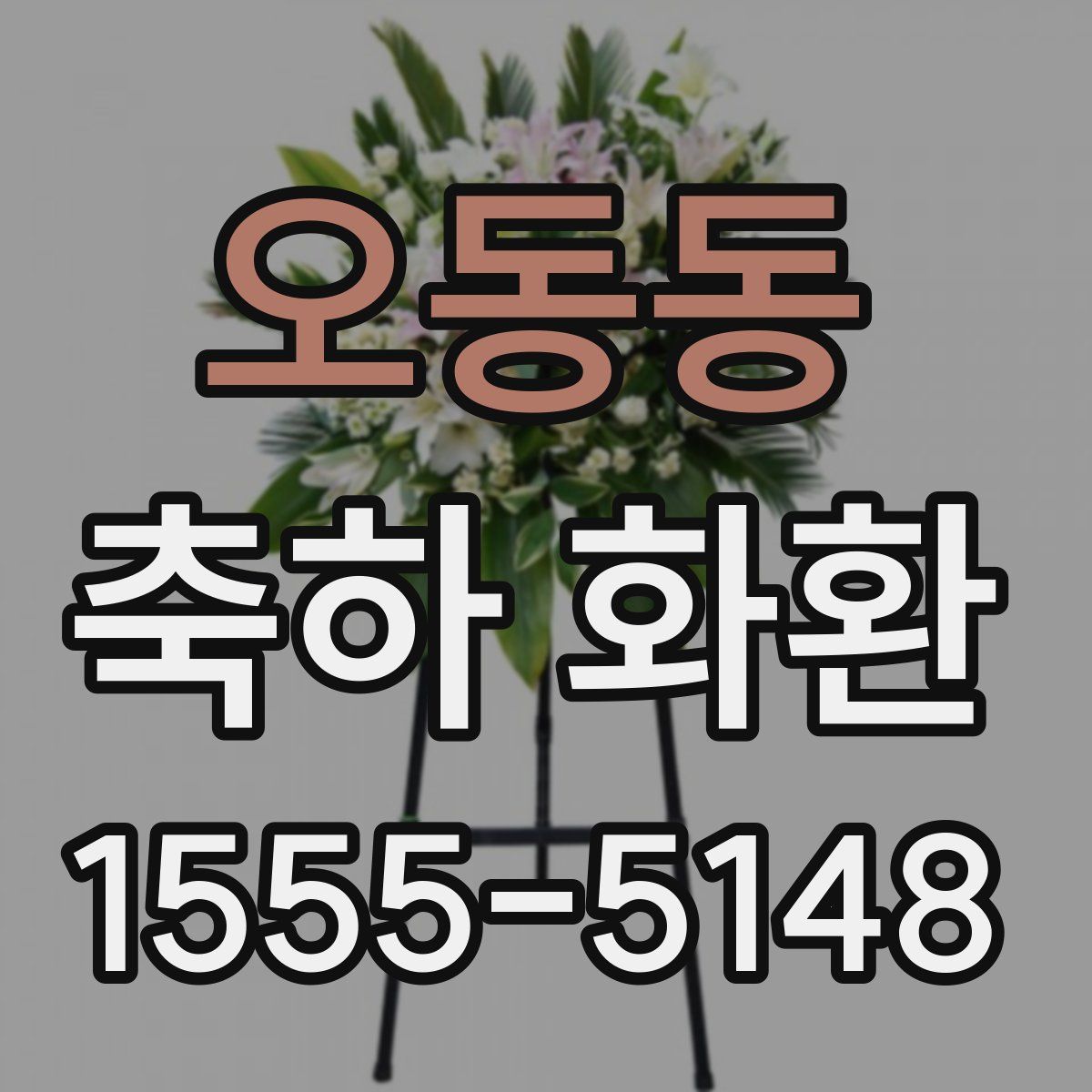 오동동 축하 화환