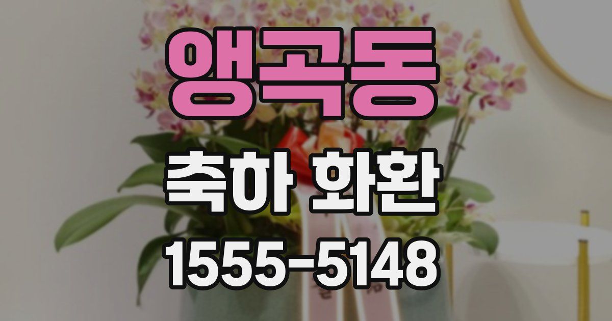 앵곡동 축하 화환