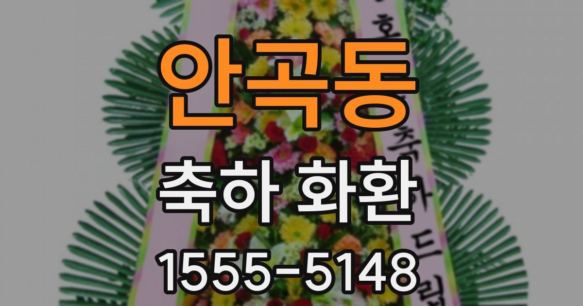 안곡동 축하 화환