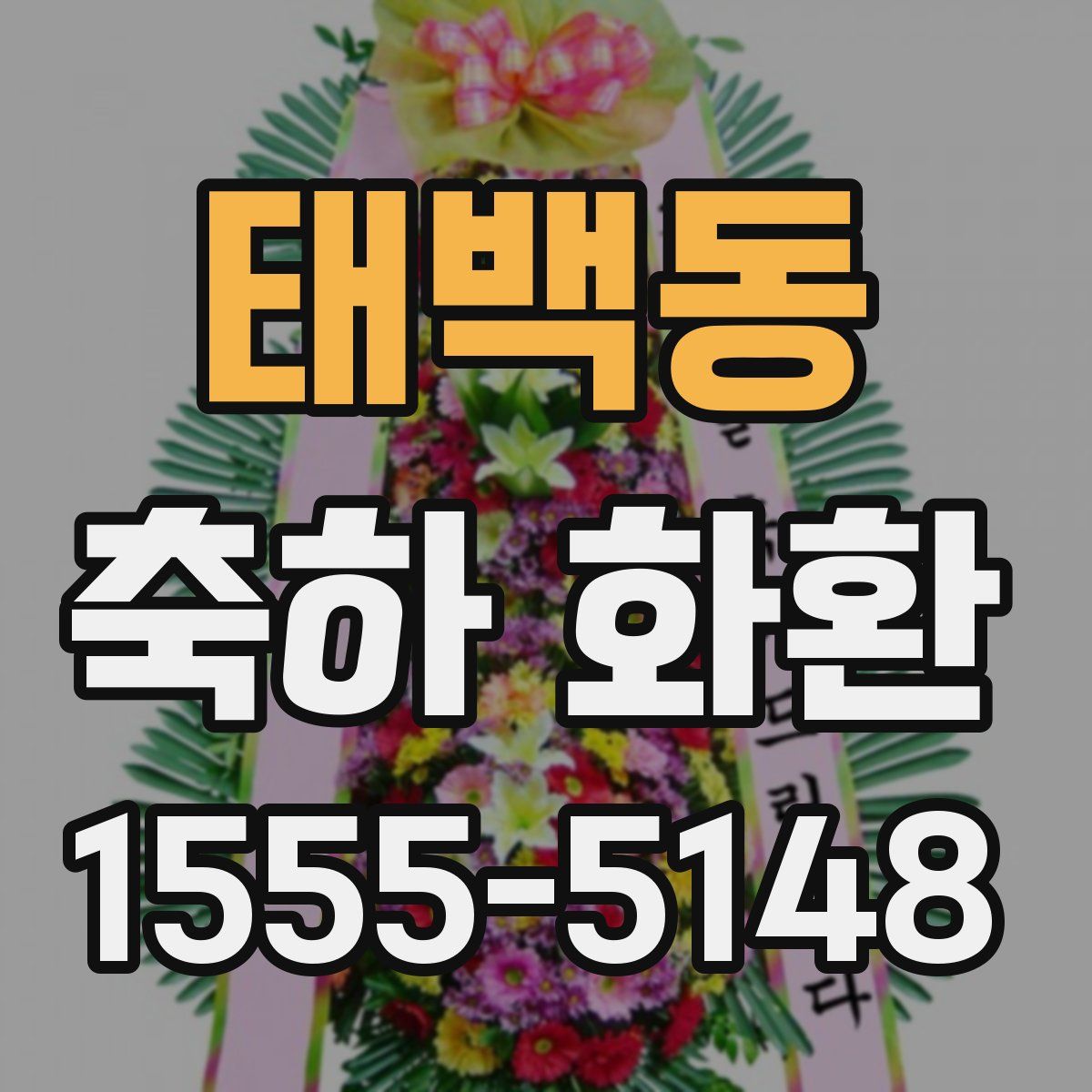 태백동 축하 화환