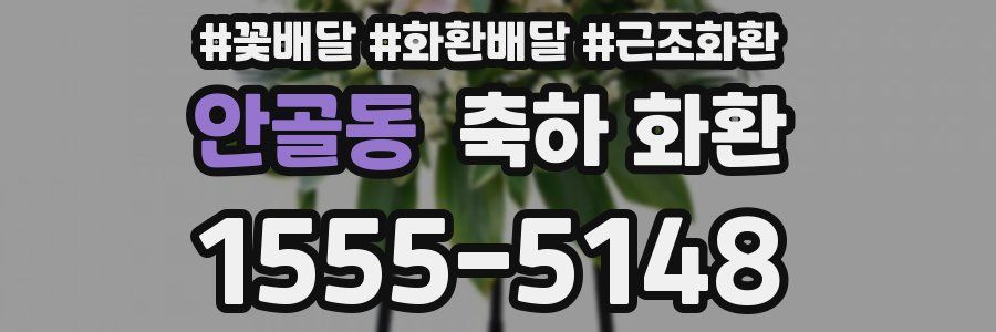 안골동 축하 화환