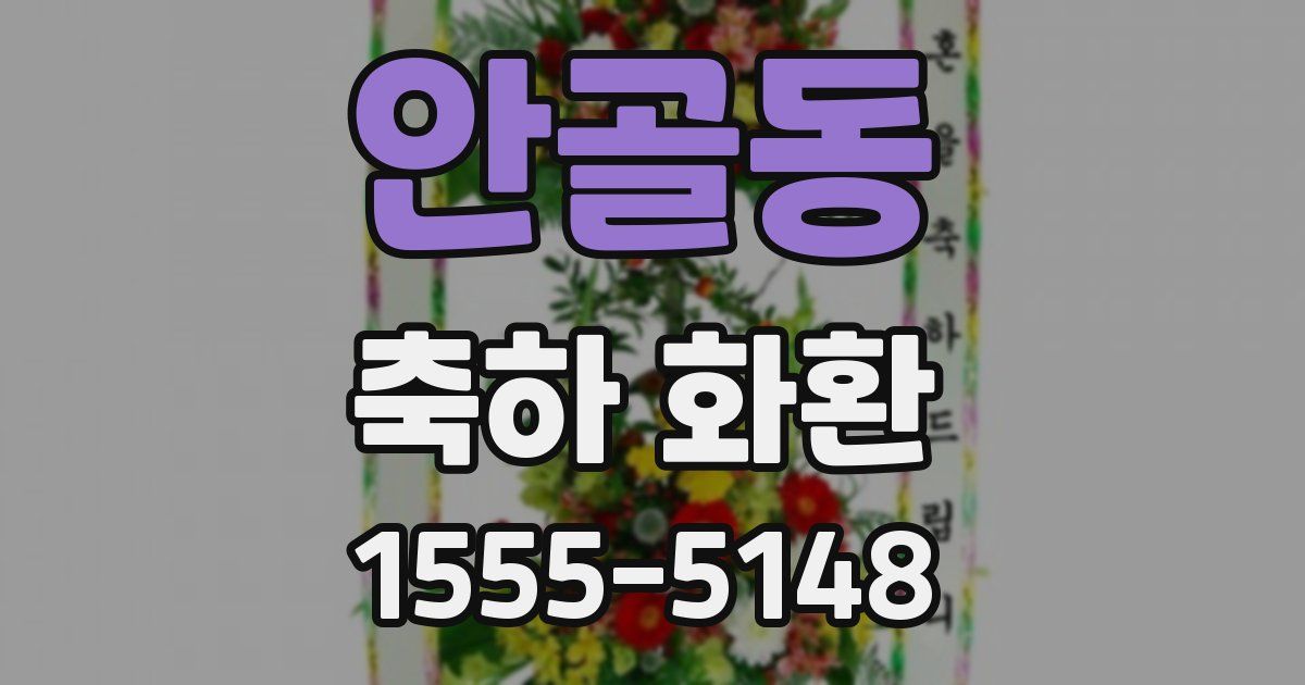 안골동 축하 화환