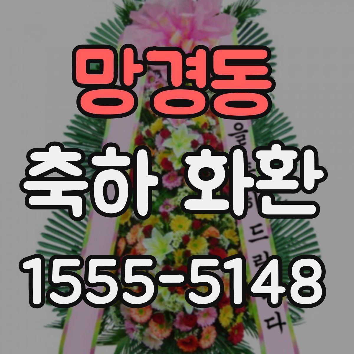 망경동 축하 화환 비용과 만족도를 함께 보는 법