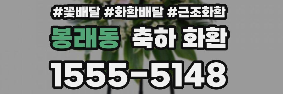 봉래동 축하 화환