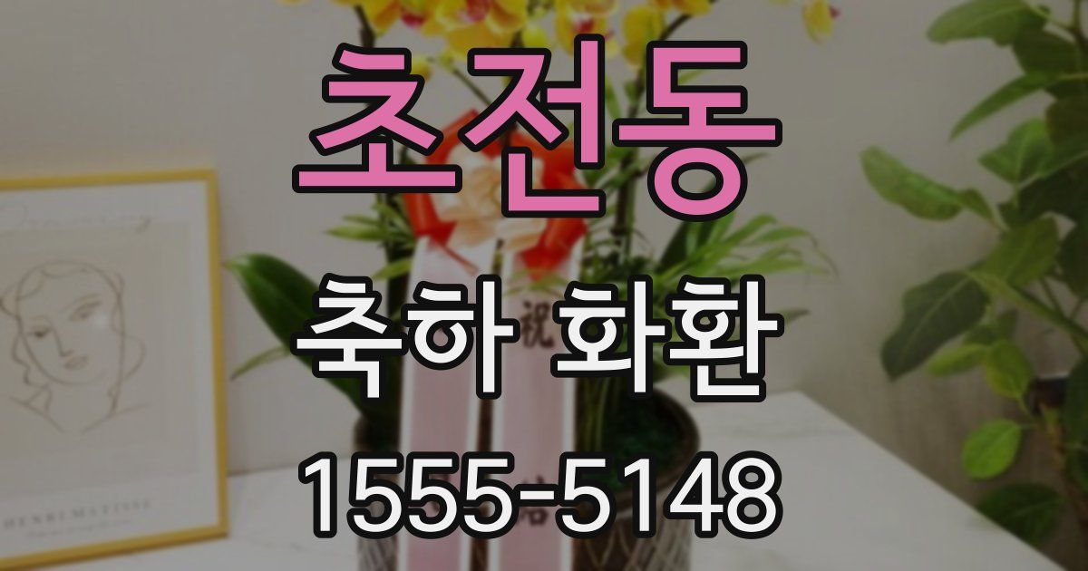 초전동 축하 화환