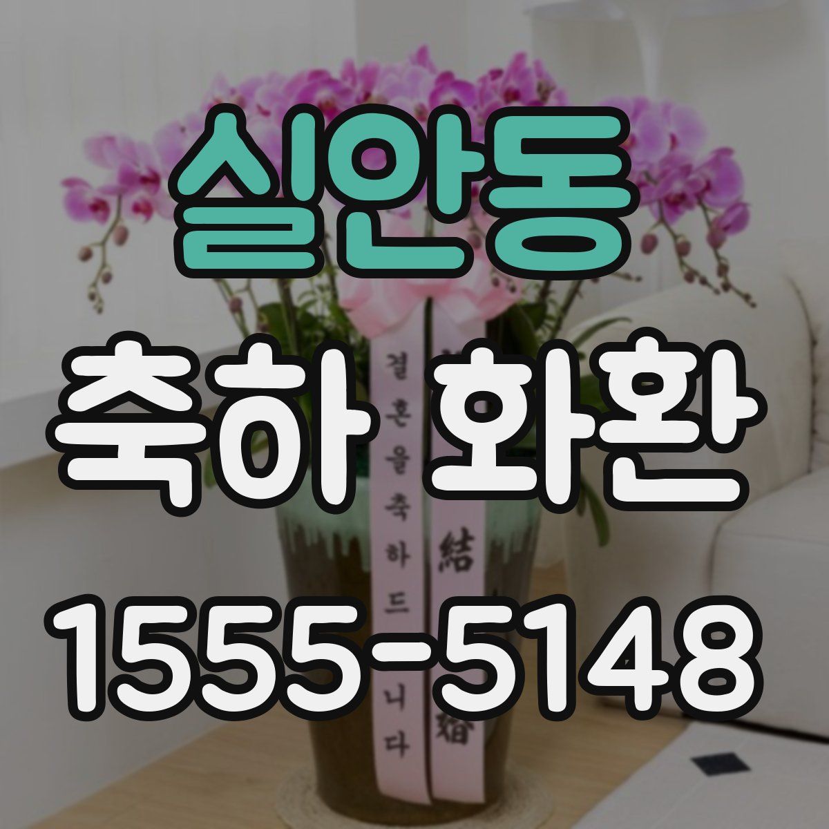 실안동 축하 화환
