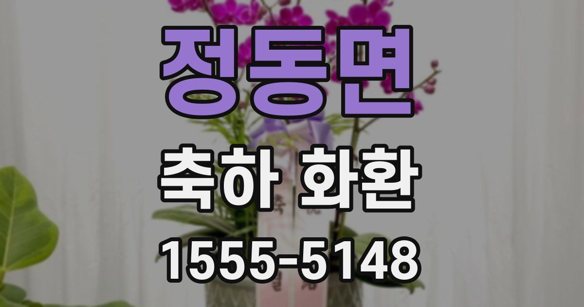정동면 축하 화환