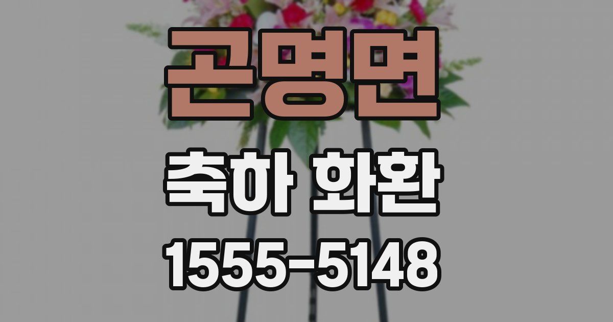 곤명면 축하 화환