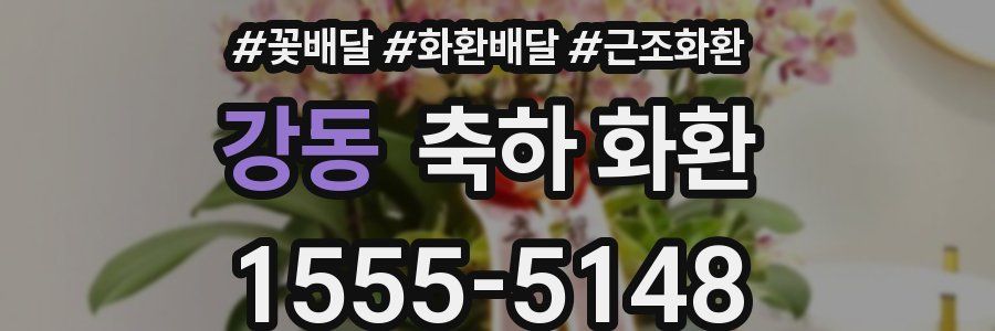 강동 축하 화환