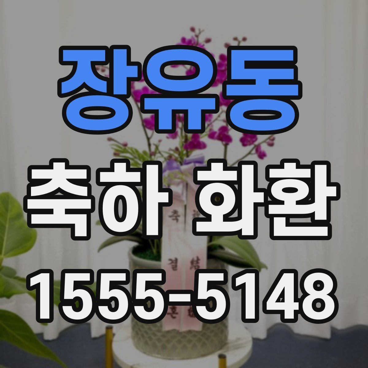 장유동 축하 화환 문구 예시와 작성할 때 유의점