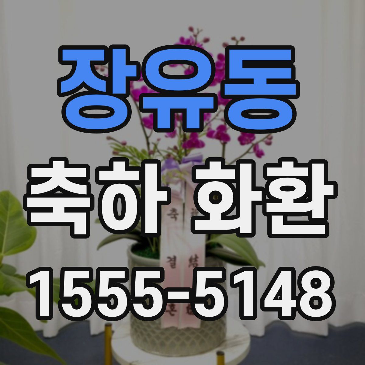 장유동 축하 화환