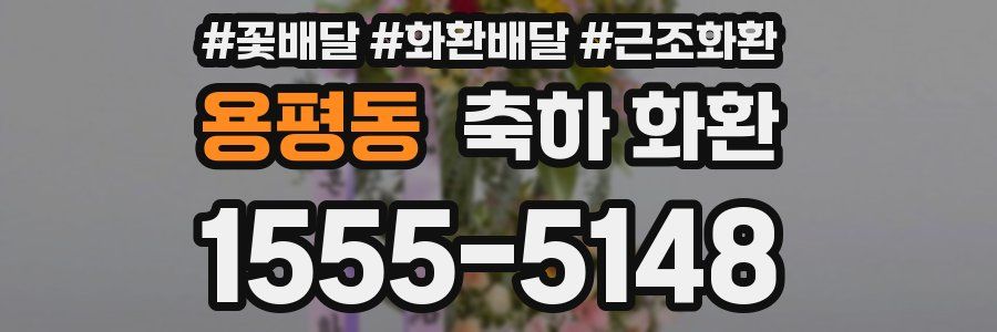 용평동 축하 화환