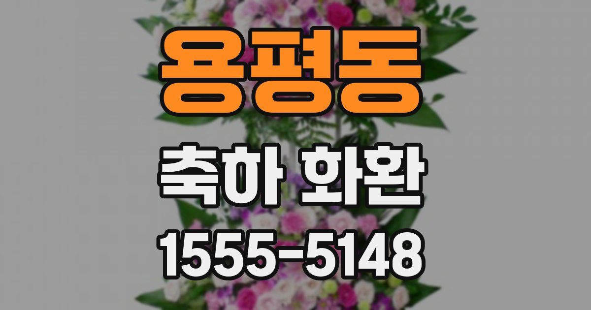 용평동 축하 화환