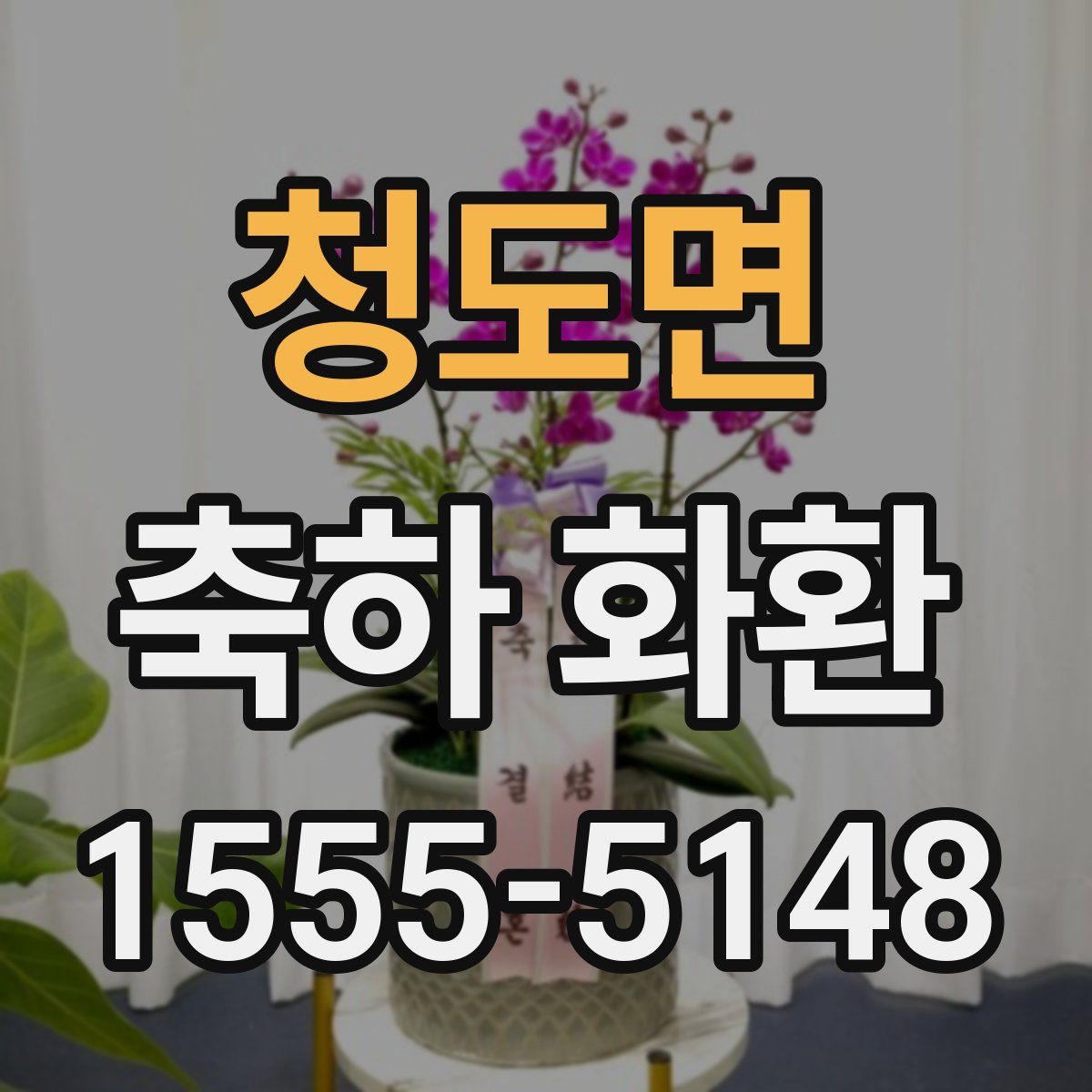 청도면 축하 화환