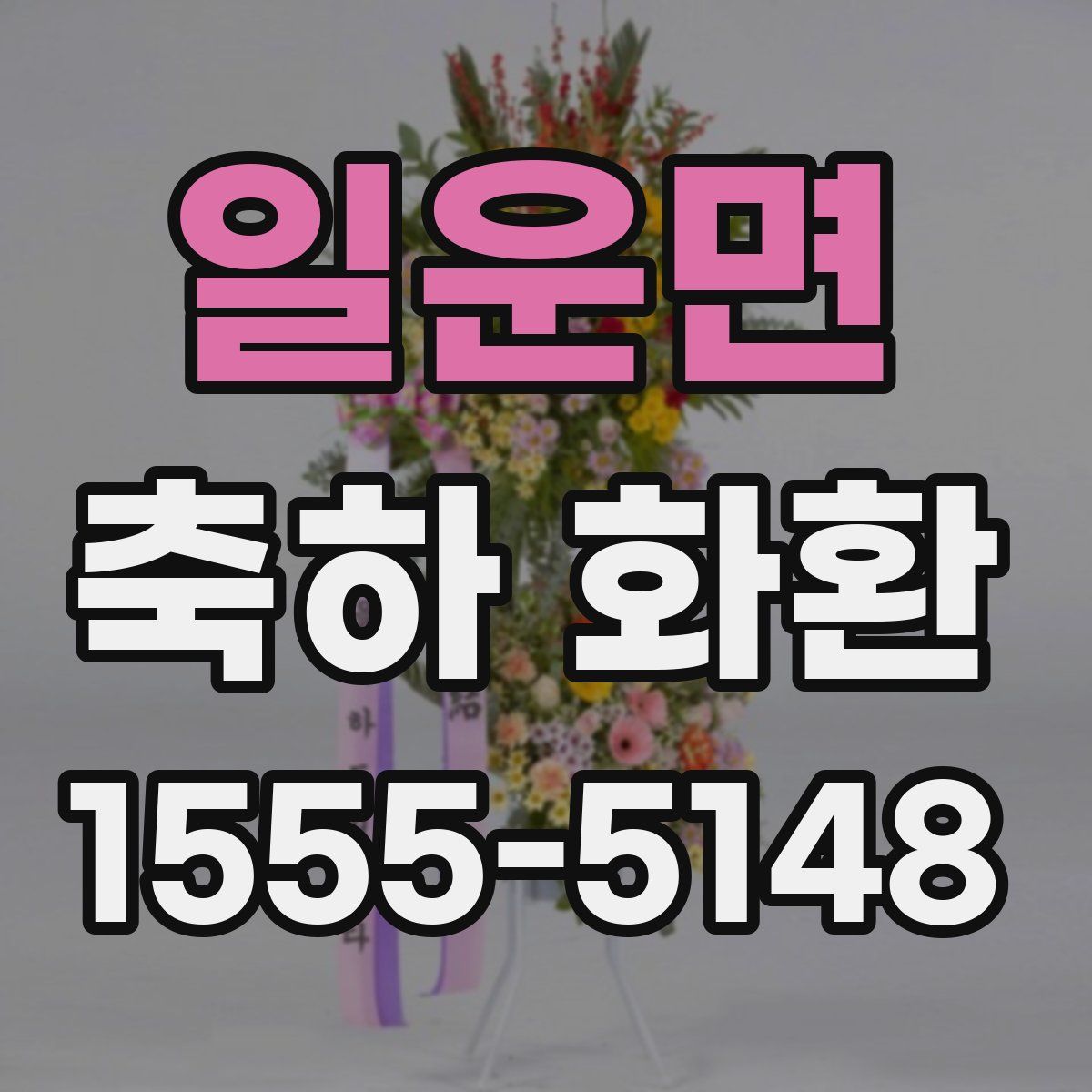 일운면 축하 화환