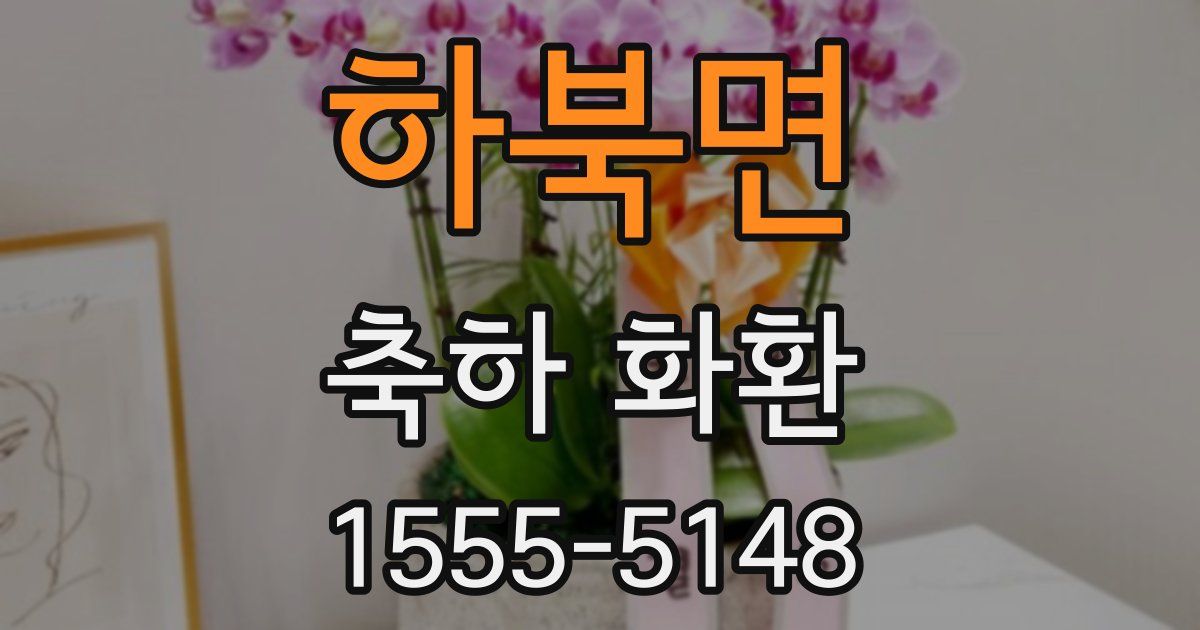 하북면 축하 화환