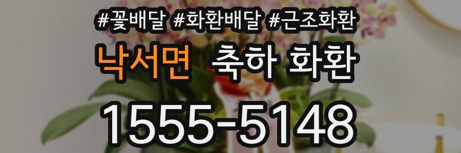 낙서면 축하 화환