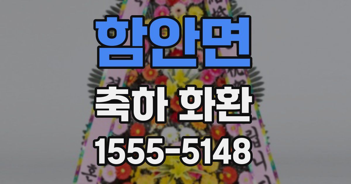 함안면 축하 화환
