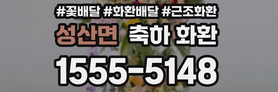 성산면 축하 화환