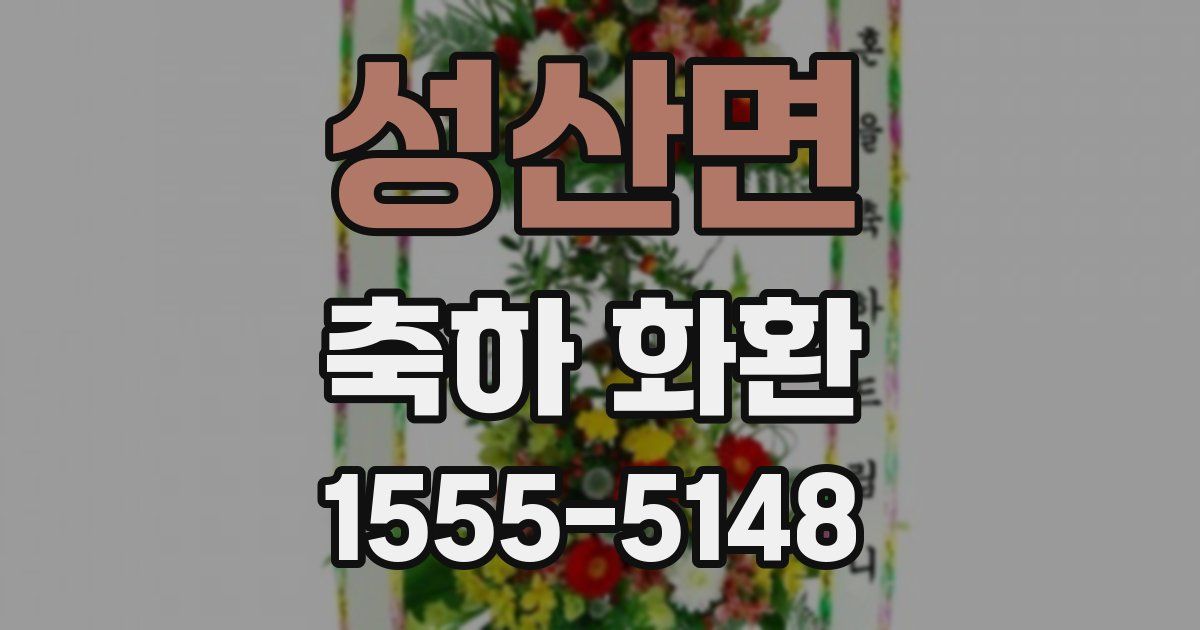 성산면 축하 화환