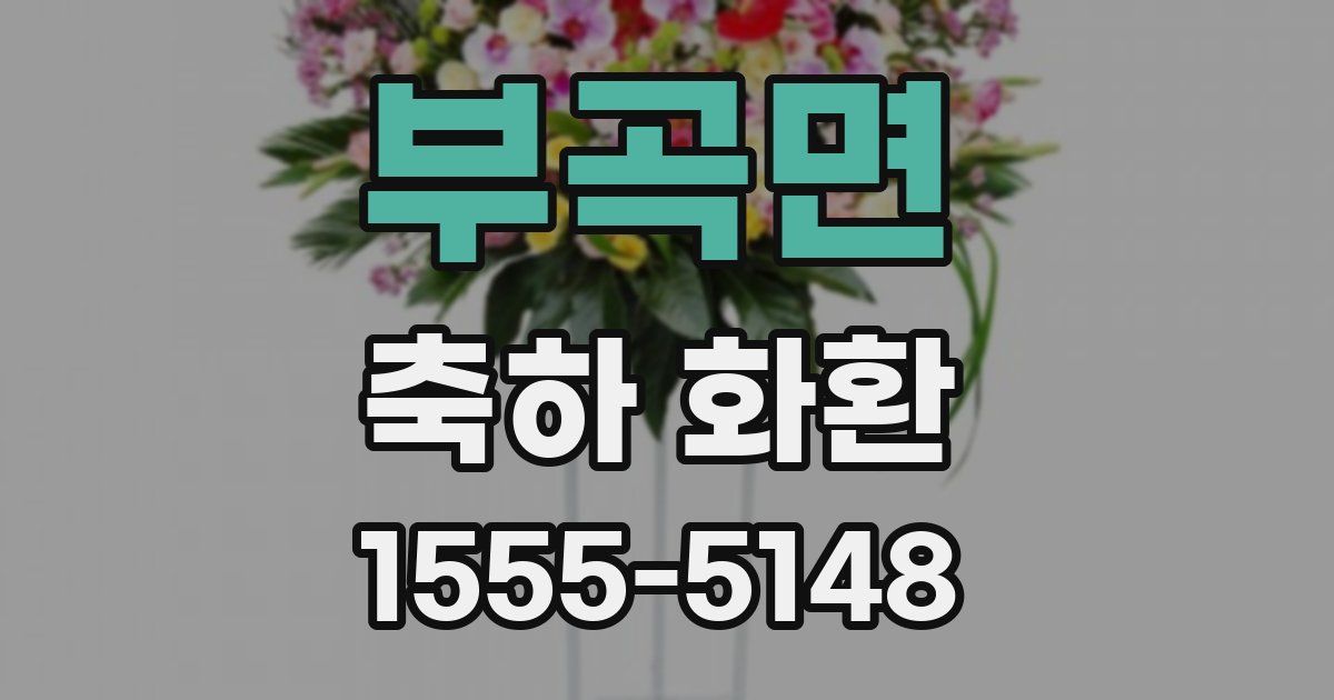 부곡면 축하 화환