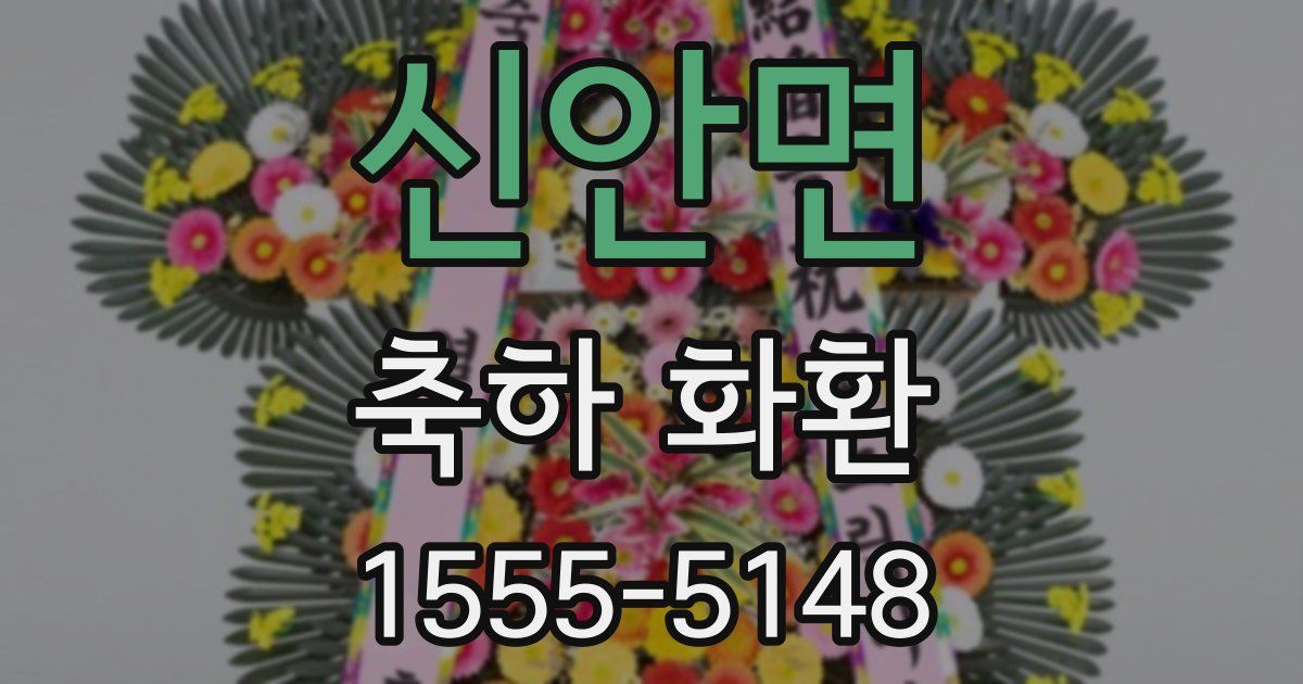 신안면 축하 화환