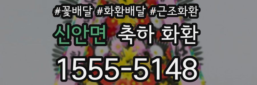 신안면 축하 화환