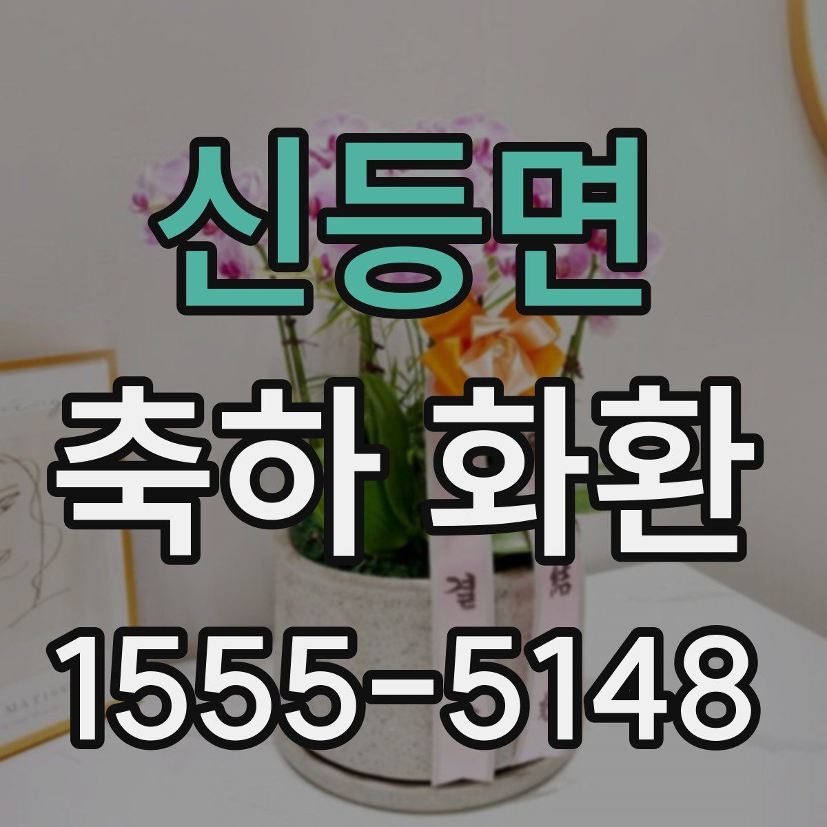 신등면 축하 화환