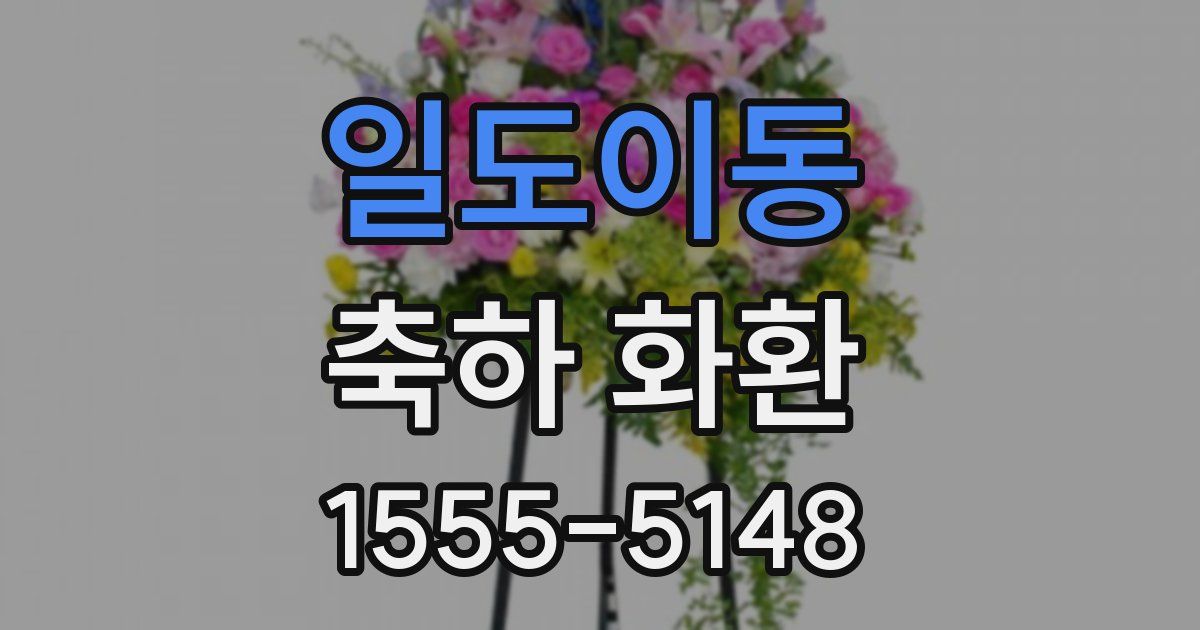 일도이동 축하 화환