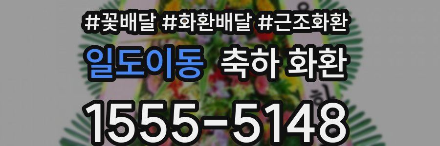 일도이동 축하 화환