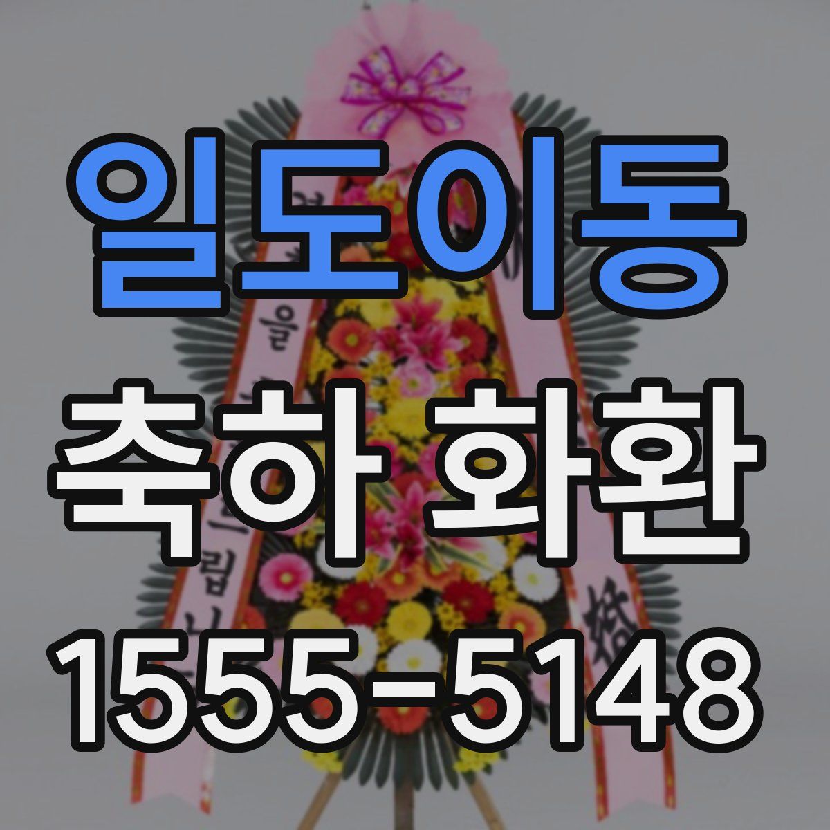 일도이동 축하 화환