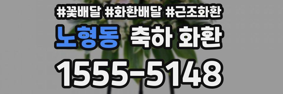 노형동 축하 화환