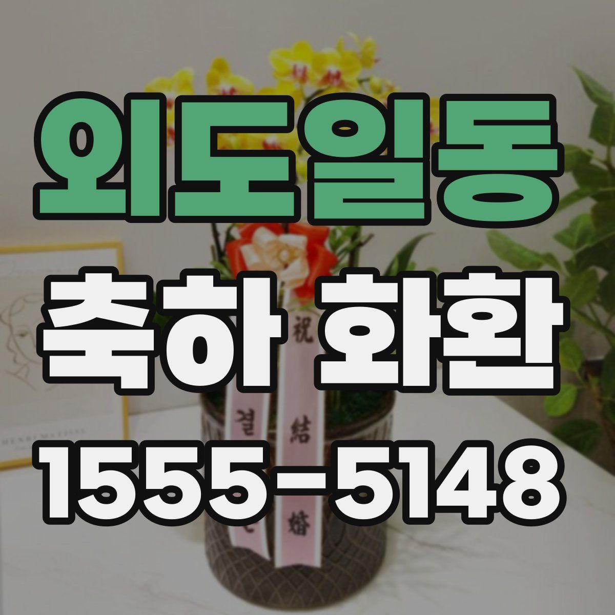 외도일동 축하 화환