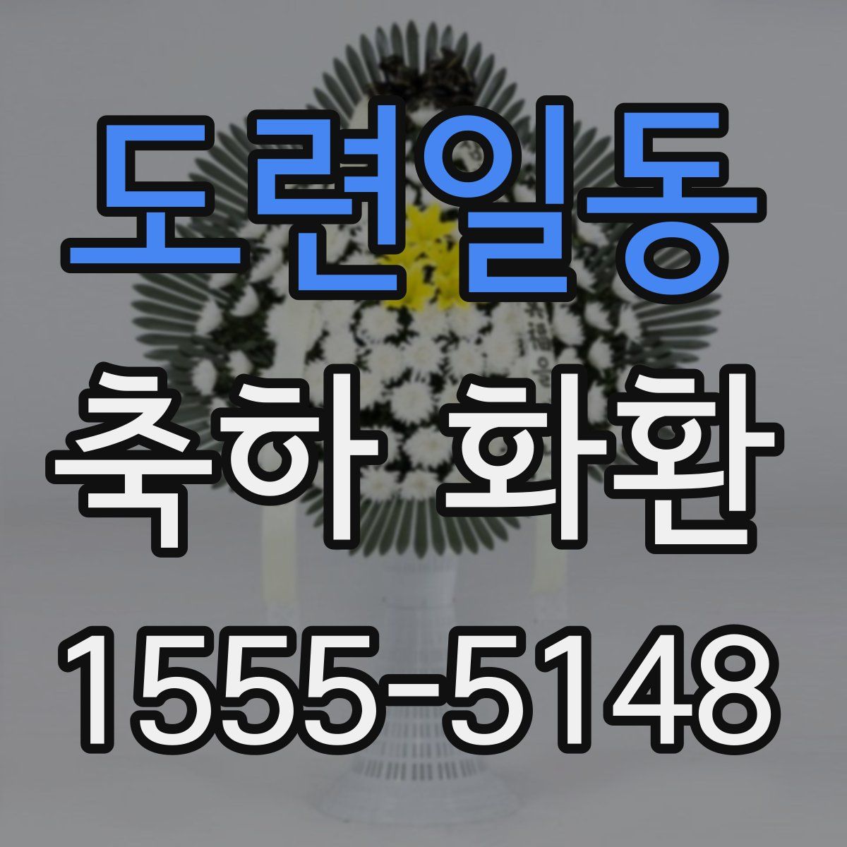 도련일동 축하 화환