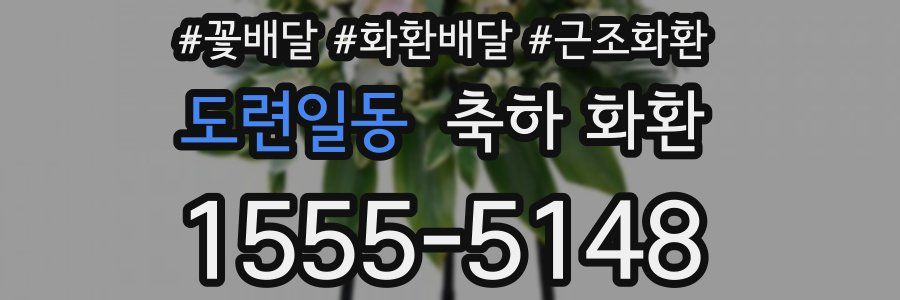 도련일동 축하 화환