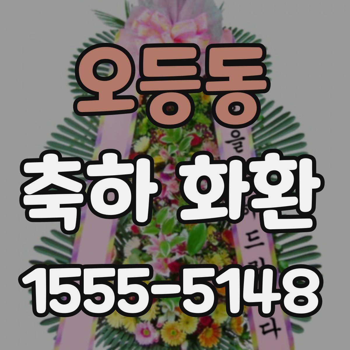 오등동 축하 화환