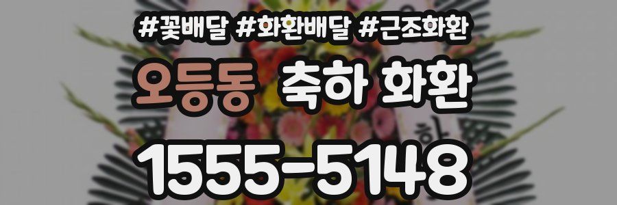 오등동 축하 화환