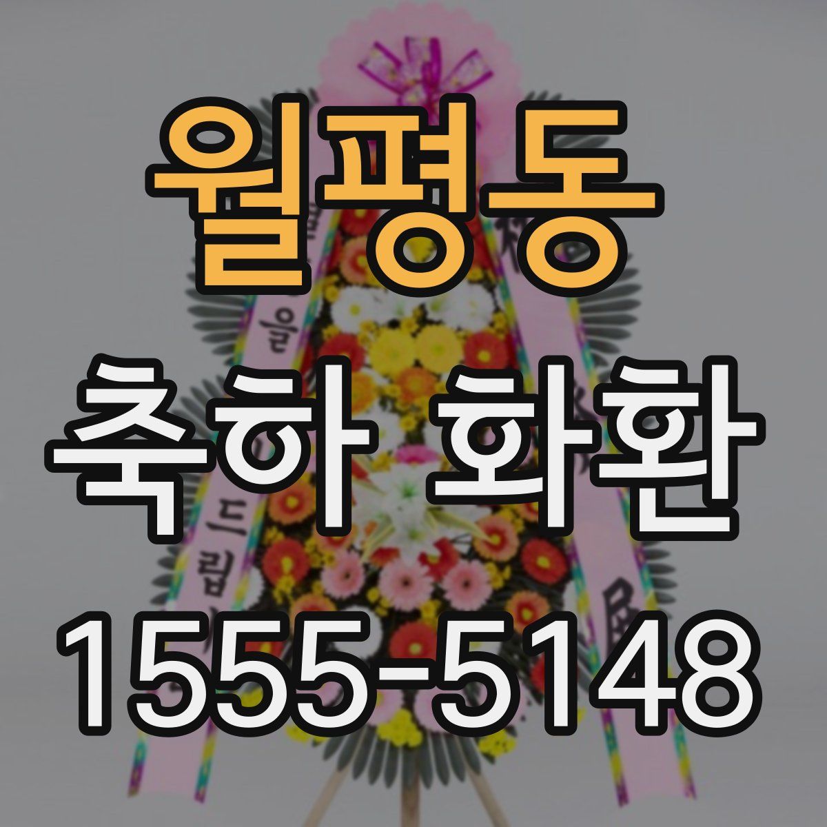 월평동 축하 화환