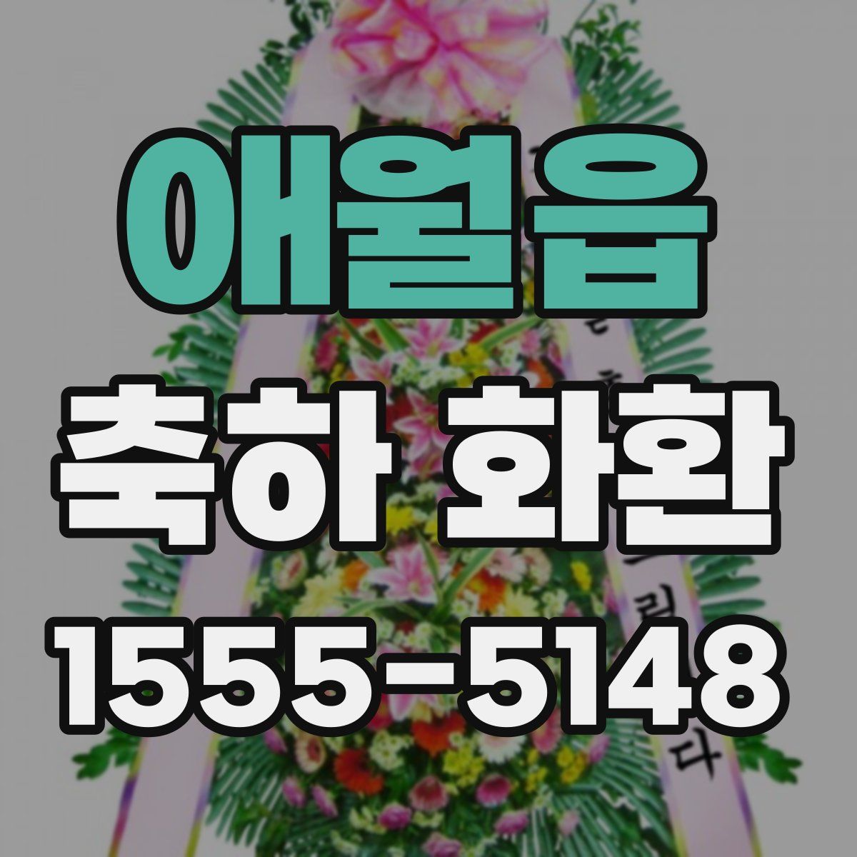 애월읍 축하 화환