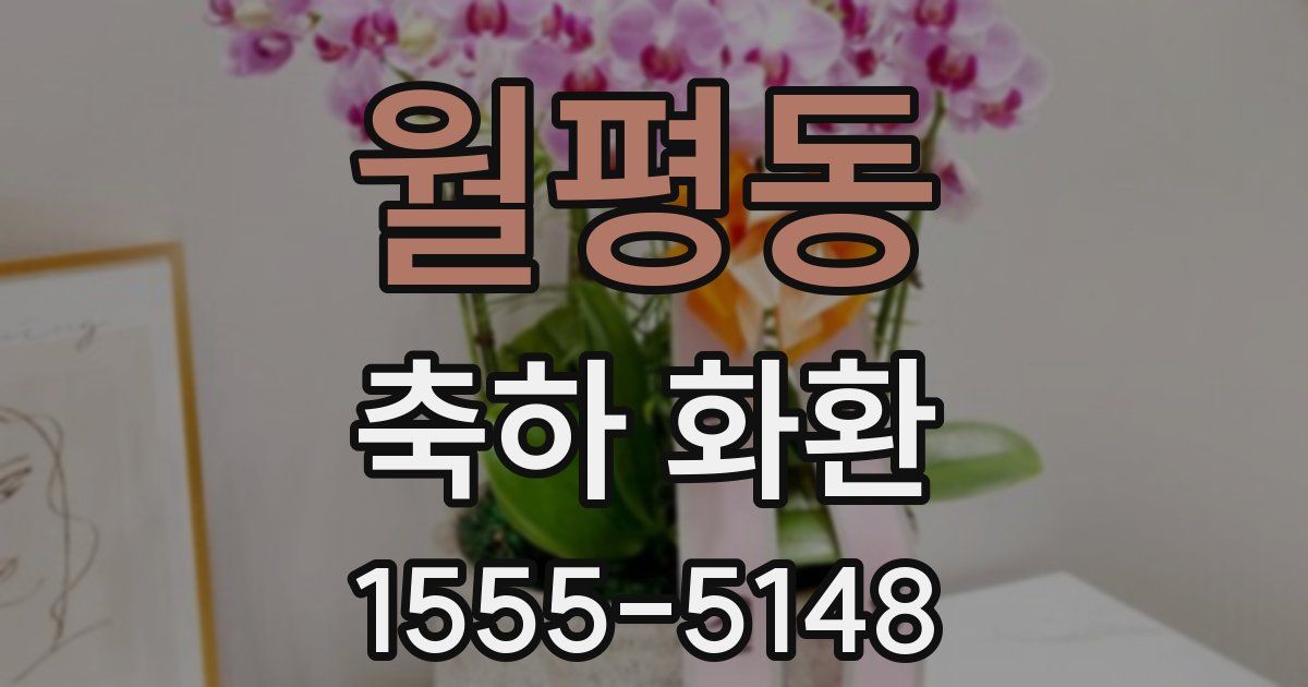 월평동 축하 화환