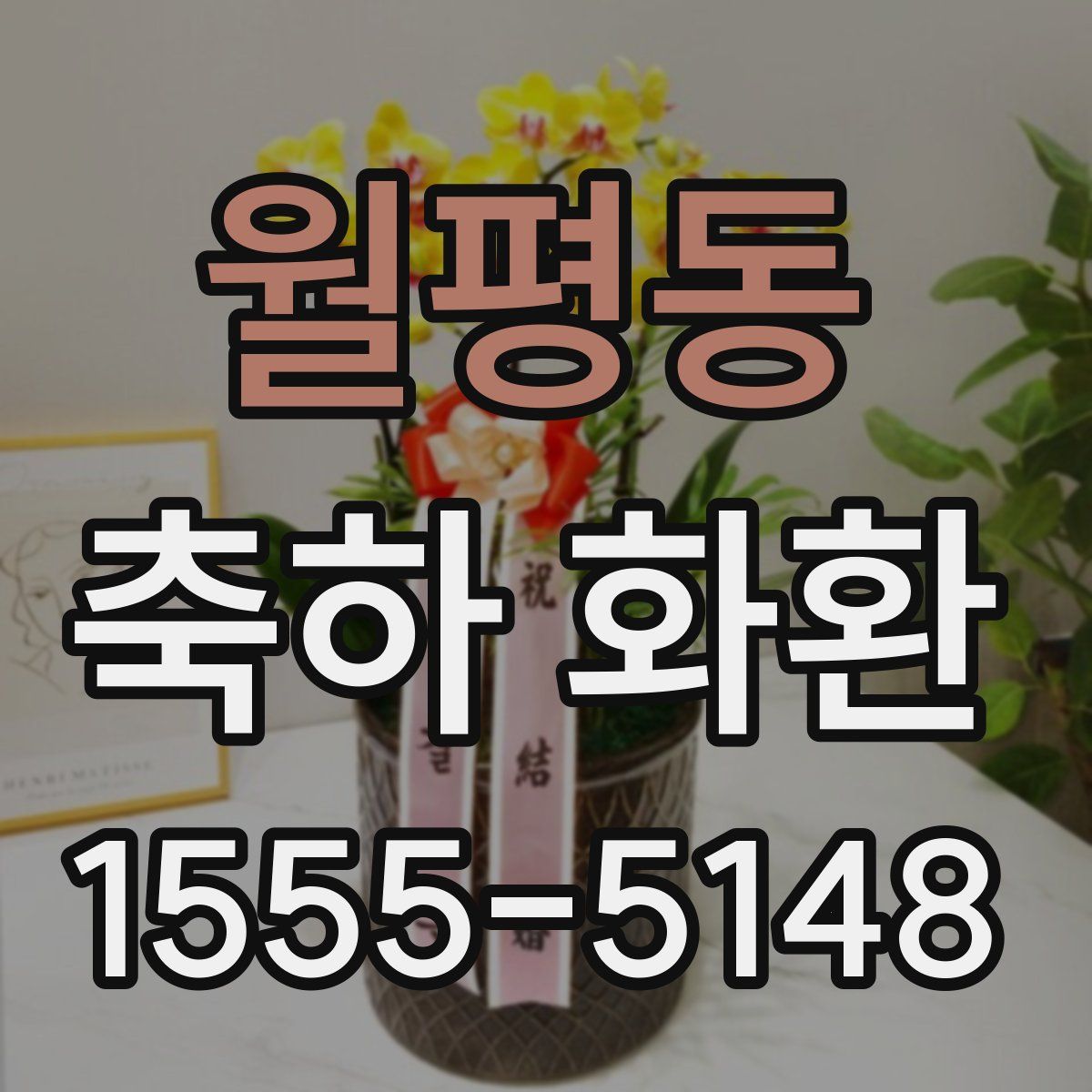 월평동 축하 화환